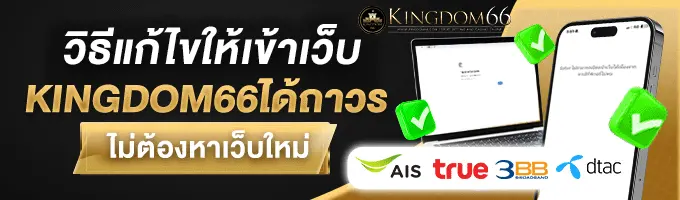 วิธีแก้ไขให้เข้าเว็บ ได้ถาวร ไม่ต้องหาเว็บใหม่